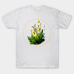 Flower Series  - Iris with transparent background T-Shirt